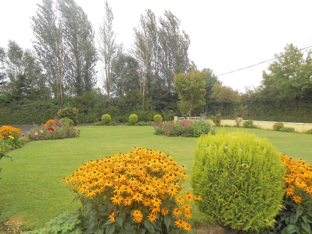 Gallows View Bed & Breakfast Bunratty Chambre photo